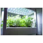 Bepflanztes GreenUnit mit Wasserstandsanzeiger.jpg